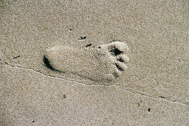 Footprint