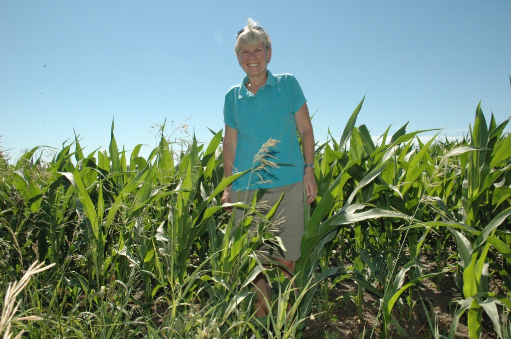 Fourth of July corn (7.4.11)